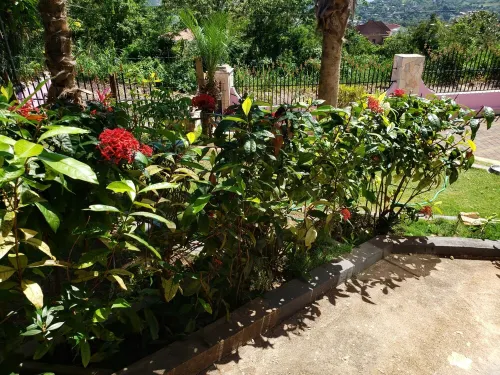 Affordable vacation room rentals in beautiful Jamaica.