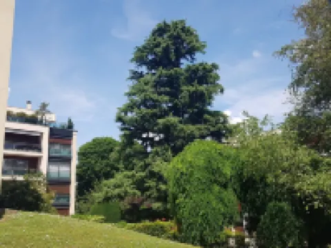 Forest Paradise, Très Grand Salon, 15 min de Paris Hotels in Sevres