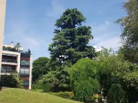 Forest Paradise, Très Grand Salon, 15 min de Paris Hôtels à proximité de : Musée national de céramique de Sèvres