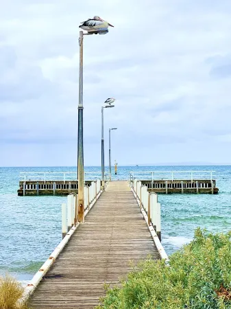 Brand new, spacious family home in walking distance to beach. Отели в г. Сейнт Леонардс