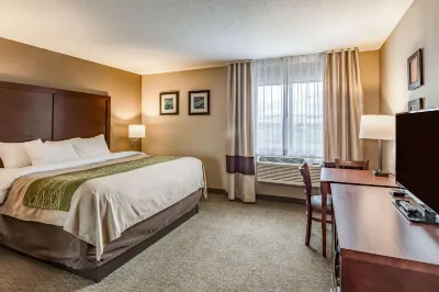 Comfort Inn Hotels near Walgreens