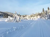 15 person holiday home in Treungen Hotels in Treungen