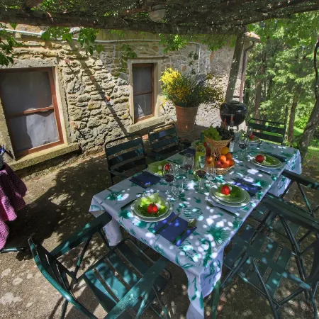 Cottage with swimming pool