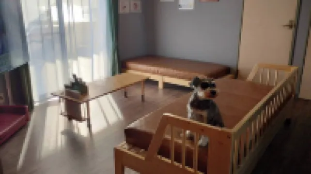 ชิมะ-ชิ โคดาเตะ