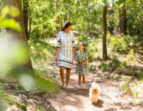 Tiny House in Brabant with Cozy Terrace Hotel di 