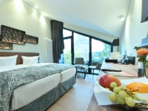 Parkhotel "Am Schänzchen" Hotels in Andernach