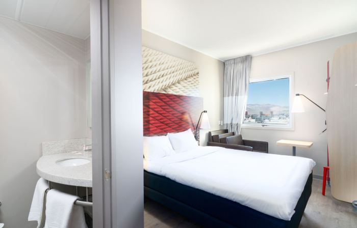 Ibis Copiapo