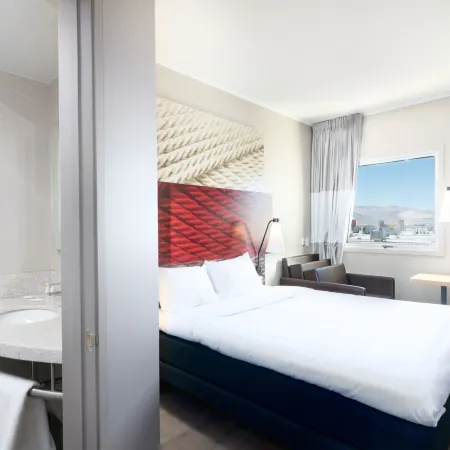 Ibis Copiapo