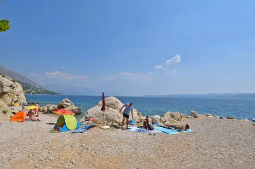 Apartments A Cappella Music - Homestays