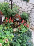 Apartments Bubi - Homestays