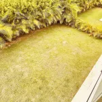Elegant 3-bedroom Villa in Harmony Village Vista Cana - فلل