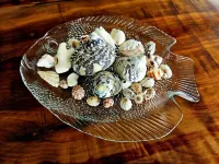 Sea Song 3 Bdrm Beachfront house on Marley Beach with great beach and sea views. Hotels in Warwick