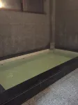 Tokiwa Ryokan - Hot Springs