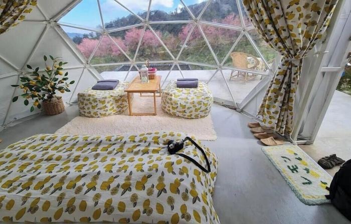 Doi Inthanon Tea Farmstay