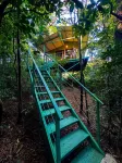 Jungle Living Tree Houses - 2-Star
