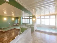 Mount Inn - Hot Springs