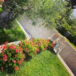 Alba Magica - B&B