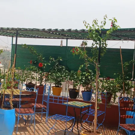 Riad Idrissi