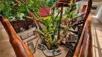Kanté Hotel - Downtown Tulum - 2 Yıldız