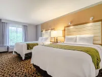 Comfort Inn Raleigh Midtown Hotels near Memorial Bell Tower