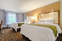 Comfort Inn Raleigh Midtown - servizio colazione
