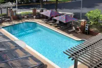 Aloft Tallahassee Downtown - Pools