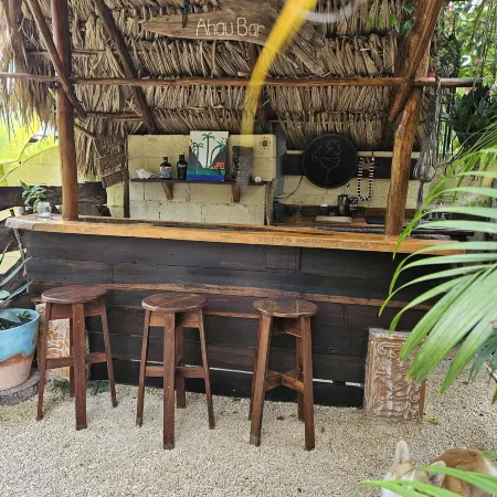 Jungla Bacalar