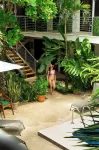Wide Mouth Frog Quepos - hostel