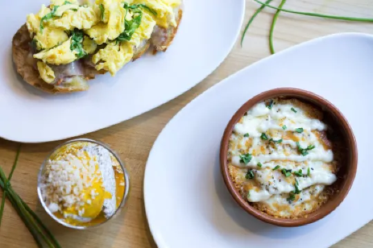 AC Hotel Gainesville Downtown