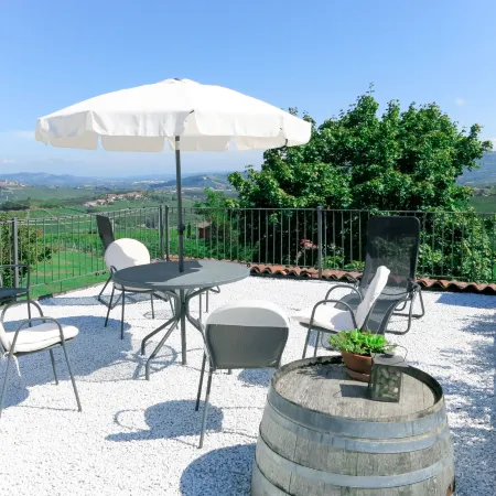Il Vino