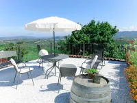 Il Vino