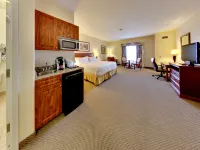 Holiday Inn Express & Suites EDMONTON-INTERNATIONAL AIRPORT by IHG Hotels in Nisku