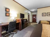 Comfort Inn & Suites Ardmore Ξενοδοχεία στην πόλη Ardmore