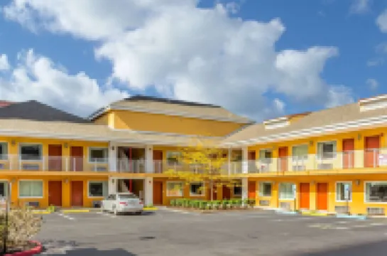 クオリティ イン フラミンゴ