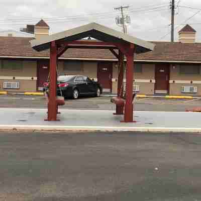 Flamingo Inn Hotel Exterior