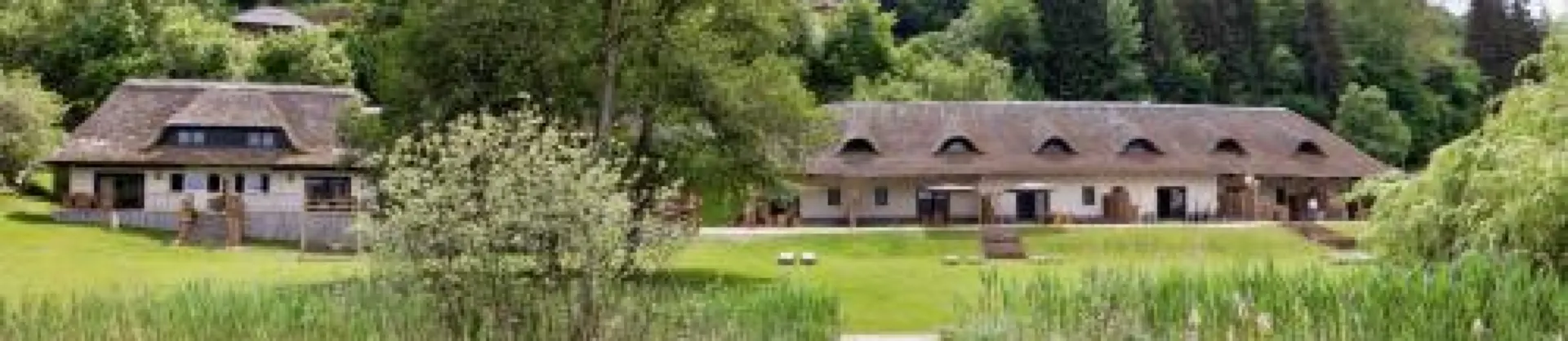 Boutique-homestay