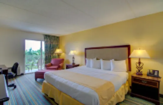 哈欽森島廣場套房酒店