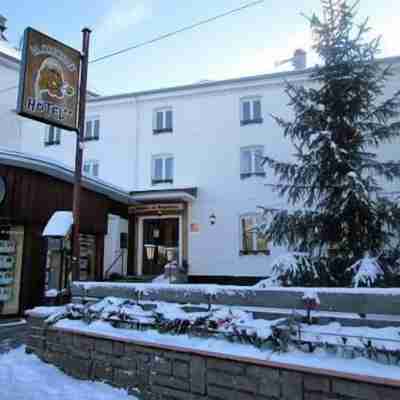 Hôtel La Marmotte - Gérardmer Hotel Exterior