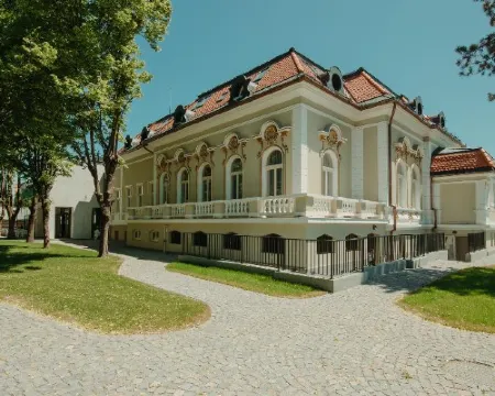 Boutique Hotel Cocosul de Aur Hotels in Tirgu Mures