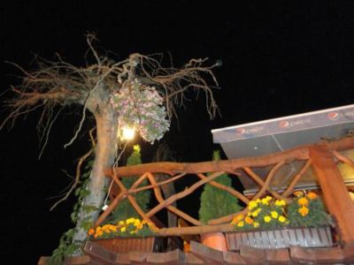 a tree with a lantern hanging from it , next to a wooden bridge and flowers at Troll