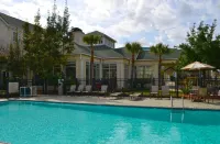 Wyndham Garden New Orleans Airport - Pools