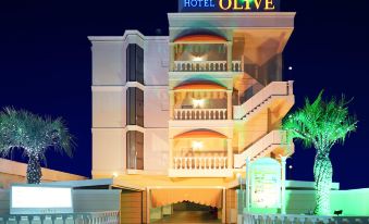 Hotel Fine Olive Sakai