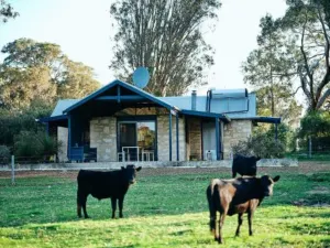 Burnside Organic Farm