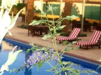 Holiday Inn RIYADH - IZDIHAR by IHG - ที่มีสระว่ายน้ำ