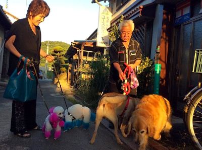 施設外観 北条水軍ユースホステルの写真