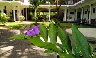 Unawatuna Nor Lanka Hotel