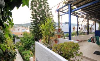 a view of a balcony with potted plants and a blue frame in the background at Amazona