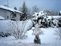 Hotel an der Sonne & Restaurant Zum Schneiger Hôtels à : Triberg im Schwarzwald