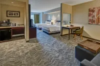 紐伯恩萬豪SpringHill Suites 飯店