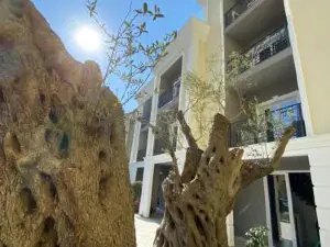 Venis Hotel